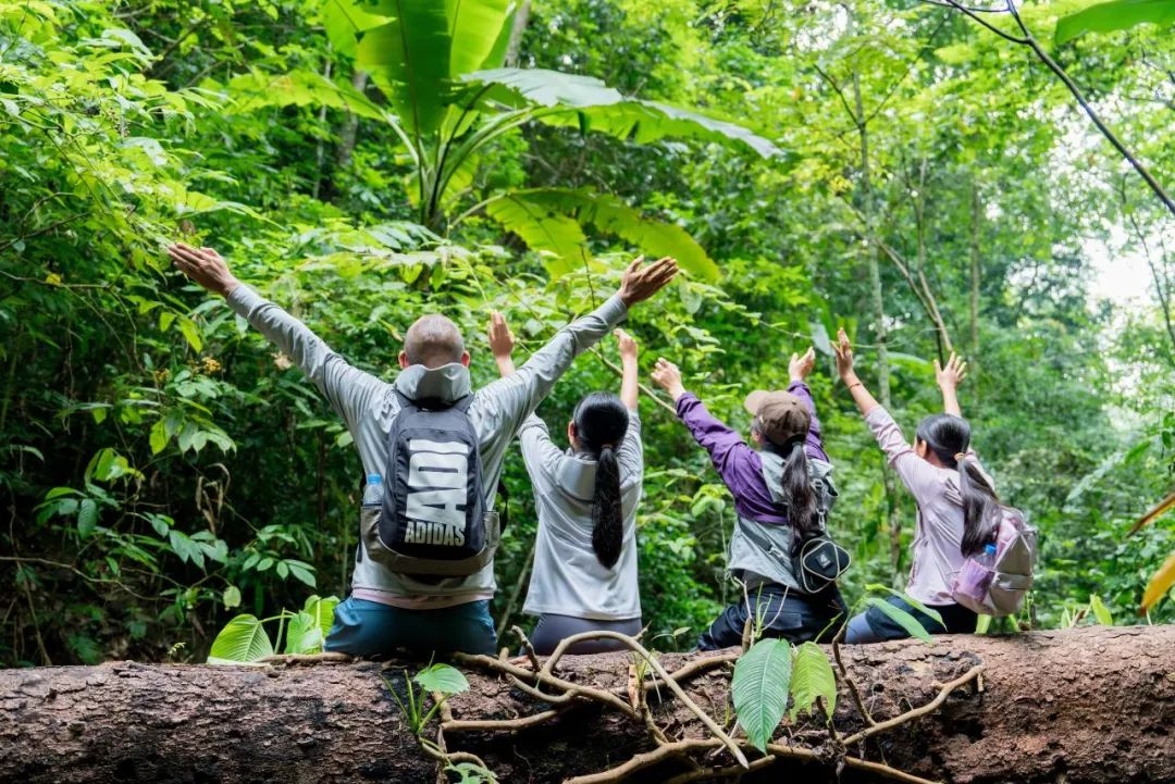 雨林旅拍