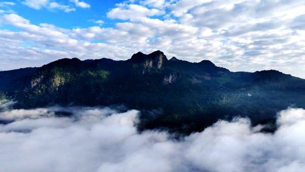 F线·巴卡线 - 野趣探索自然教育