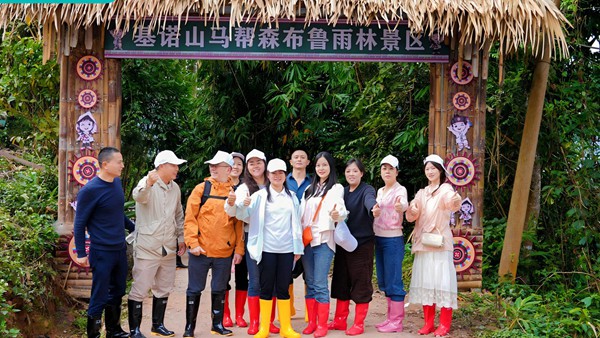 C线·么卓村 - 夜游雨林营地体验