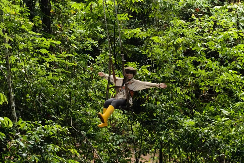 雨林秋千