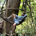 观看丛林植物绞杀现象