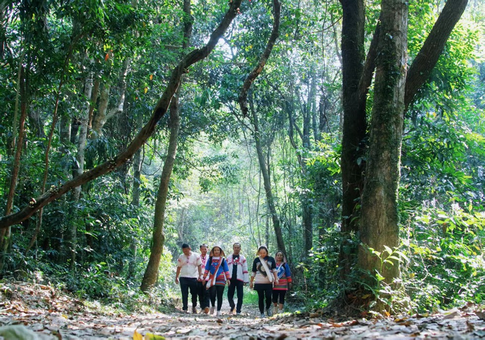 么卓村雨林徒步