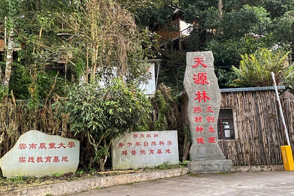 天源虫谷夜间探索