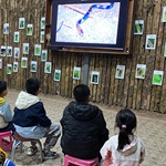 观看雨林科普片